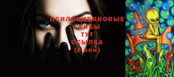 apvp Новодвинск