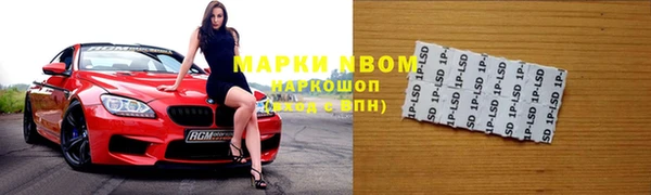 каннабис Новозыбков