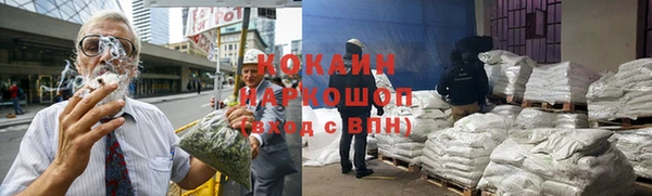 каннабис Новозыбков