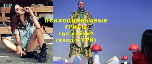 apvp Новодвинск
